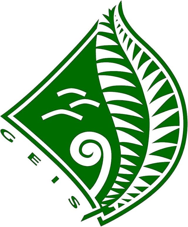 geis logo